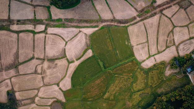 Photo overhead drone shot of fields