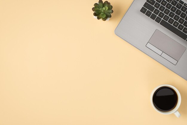 Overhead photo of laptop flowerpot and cup of coffee isolated on the beige backdrop with blank space