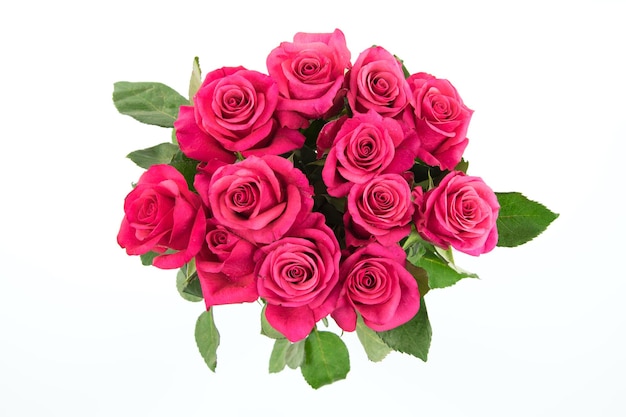 Снимок красивых красных роз на белом фоне