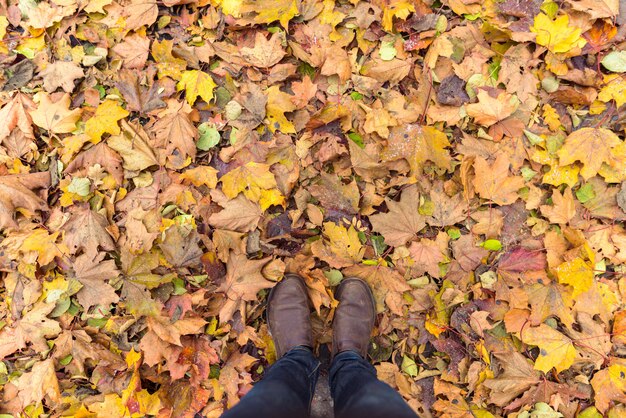 Overhead shot of man standing on autumn leaves