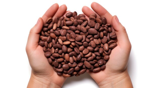 Overhead shot of womans hands holding cocoa beans isolated on white background