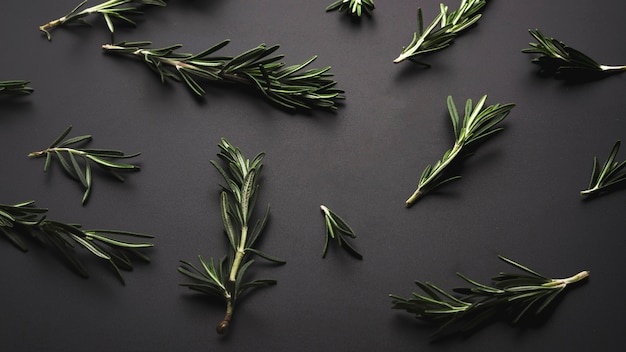 Overhead view of fresh green rosemary over dark backdrop