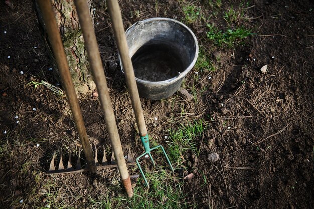 Overhead view of garden tools and a bucket for weeding and caring for the garden during the sowing campaign Agricultural hobby and horticulture