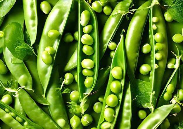 Overhead view of pea beans