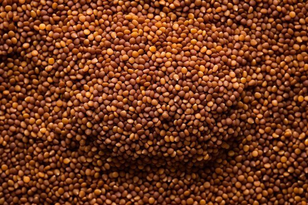 Overhead view of quinoa grains