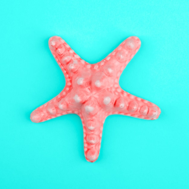 Photo an overhead view of realistic coral starfish on mint background