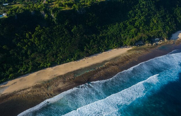 Foto overheadfoto van een zonnig strand begrensd door bos en rotsachtige kustlijn