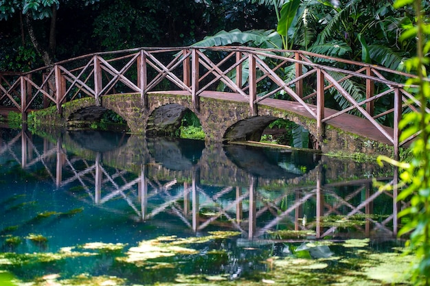 Overspannen brug over een meer met bezinning Tanzania Afrika Voetgangersbrug over een vijver