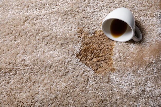 Overturned cup and spilled coffee on beige carpet above view Space for text