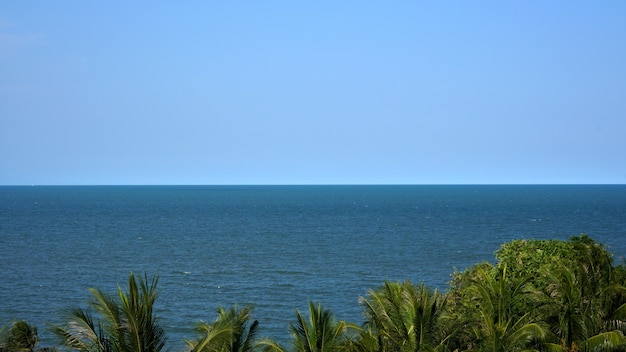 Overview of the coast looking trees sea and blue sky background