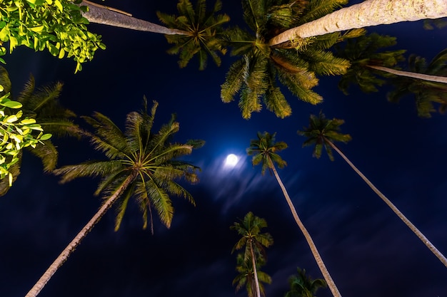 Foto panoramica del primo viaggio a kood island, è molto bello