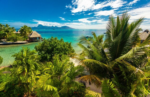 Overwater bungalows with best beach for snorkeling tahiti french polynesia moorea in the background