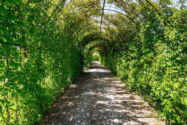 Overwelfde galerij in het Rundale Palace-park in Letland dat naar een tuin leidt