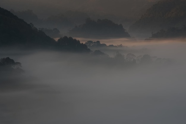 Overwhelmed fog over a valley in sunrise time