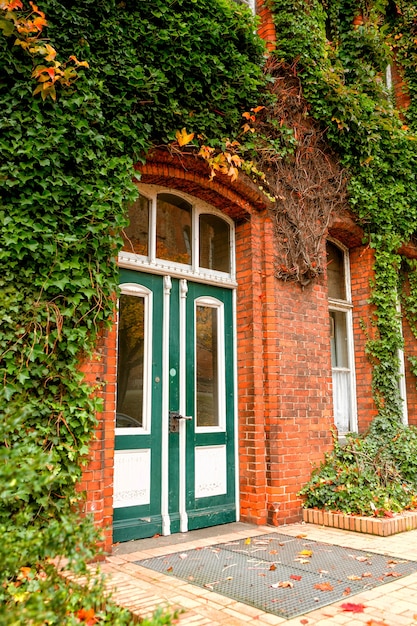 Overwoekerd oud gebouw in Lübeck, Duitsland