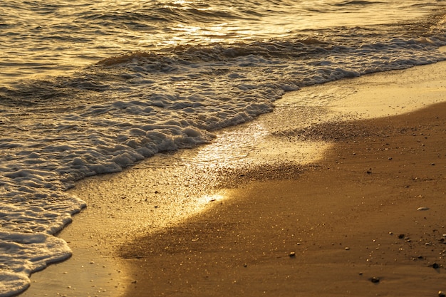 Overzees strand in zonneschijndag in schemeringtijd