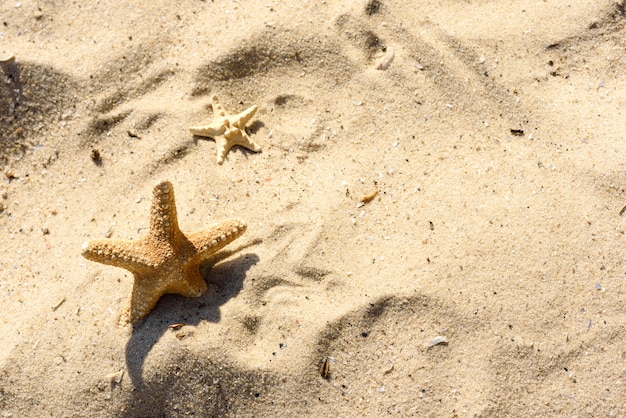 Overzeese ster op het zand op de oceaan.