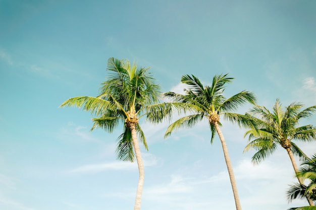 Overzeese van het de kokosnotenstrand van palmen hemel in de zomer van de gestemde vakantievintage