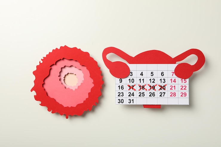 Photo ovulation period calendar with clock conception process