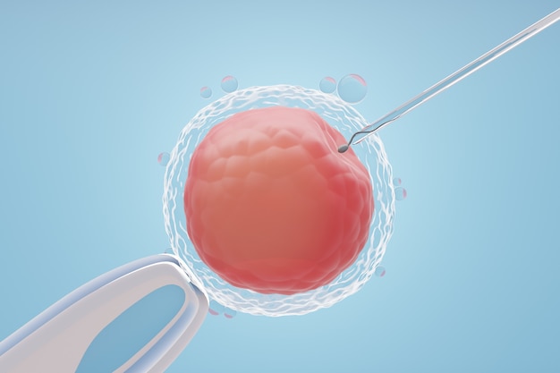 Ovulo con ago per inseminazione artificiale o fecondazione in vitro. rendering dell'illustrazione 3d.
