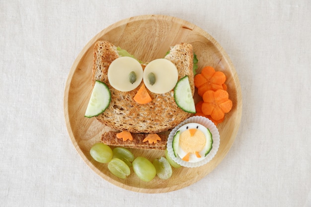 Owl healthy sandwich lunch, fun food art for kids