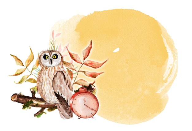 Owl on a moss branch clock forest brush watercolor spot background