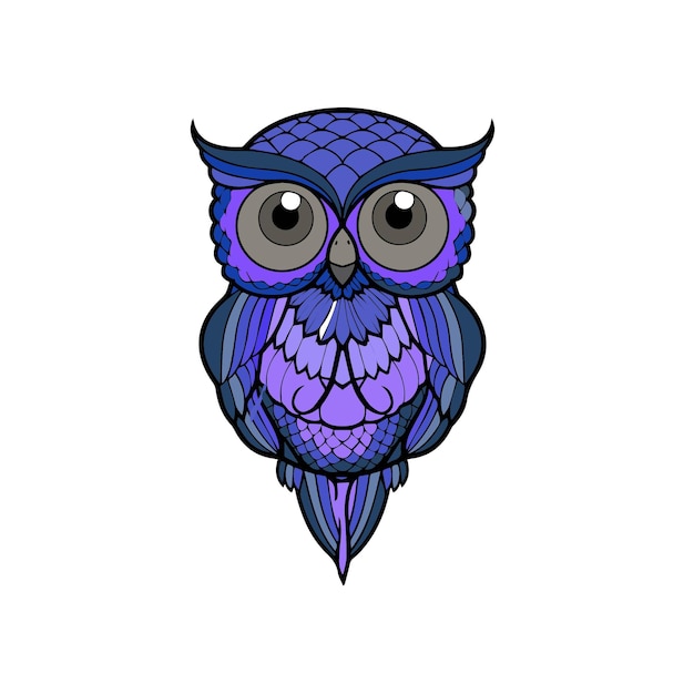 Photo owl vector