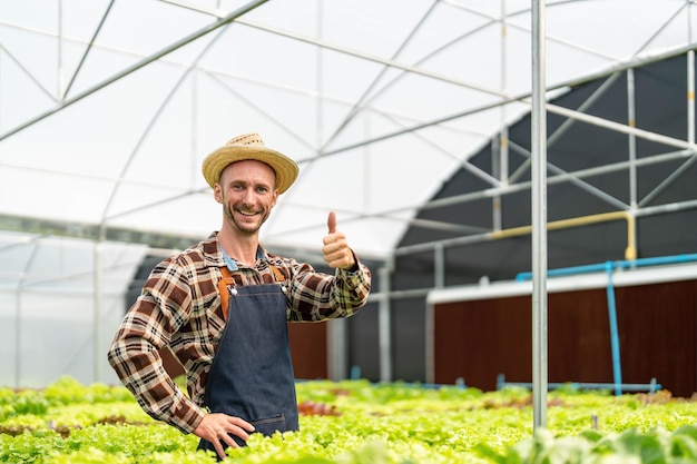 Owner of the hydroponics vegetable garden is checking the quality of the vegetables and checking or recording the growth of the vegetables in the garden Vegetables in the greenhouse