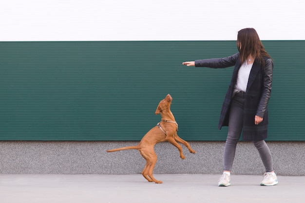 주인은 강아지와 함께 재생