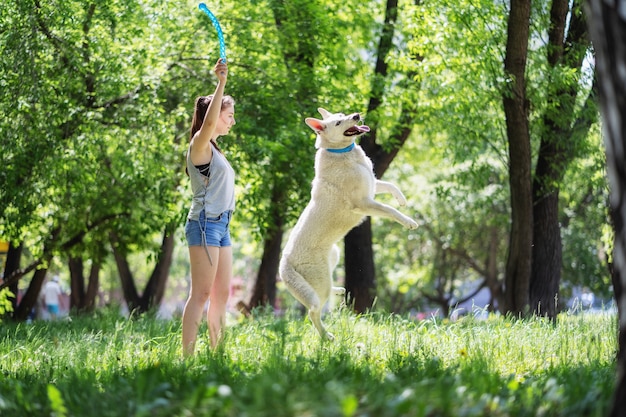 Il proprietario gioca con un cane bianco nel parco, il cane felice salta nell'erba e cerca di prendere il giocattolo