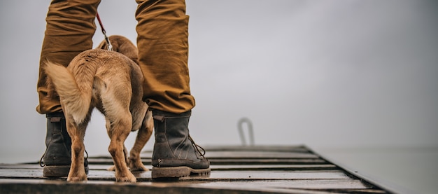 Owner protecting his dog from rain