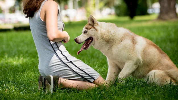 飼い主は公園でハスキー犬を訓練します。