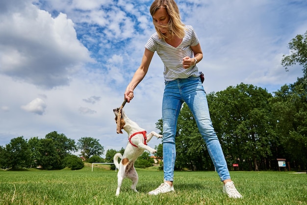 Owner walking dog at green field