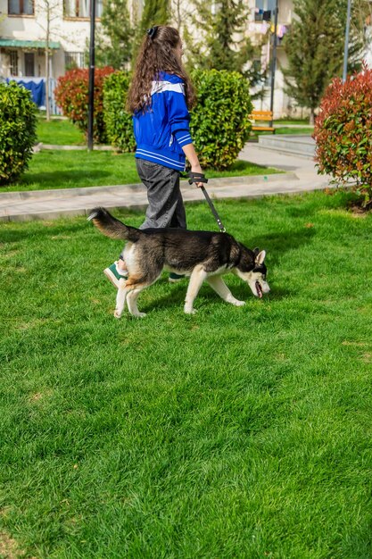 飼い主はハスキー犬と一緒に歩くセレクティブフォーカス