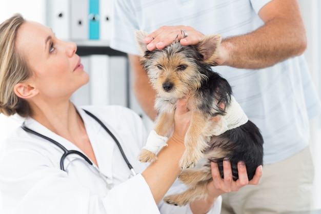 Proprietario con cucciolo che visita veterinario