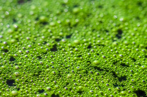 Oxygen bubbles in the bottle with water or drink.