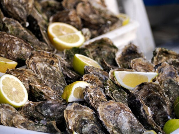 Photo oyster fresh fish seafood at ortigia syracuse sicily fish market italy