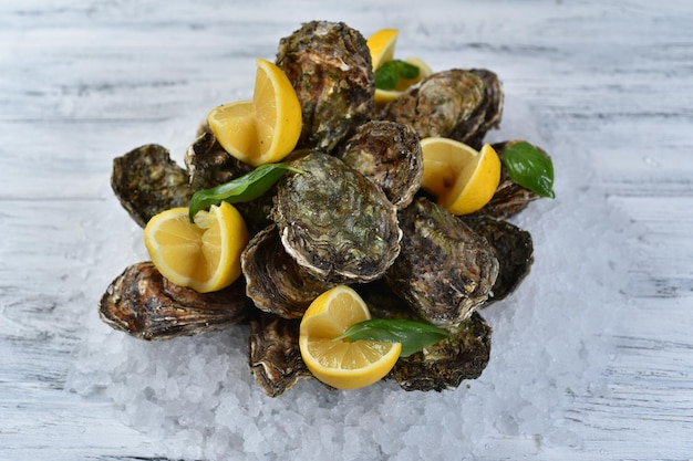 Oyster on ice with lemon, shellfish, seafood, top view