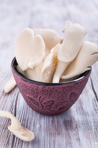 Oyster mushroom in pink bowl