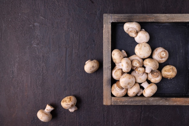 Oyster mushrooms in wooden box on black background