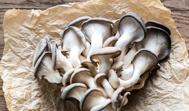 Oyster mushrooms