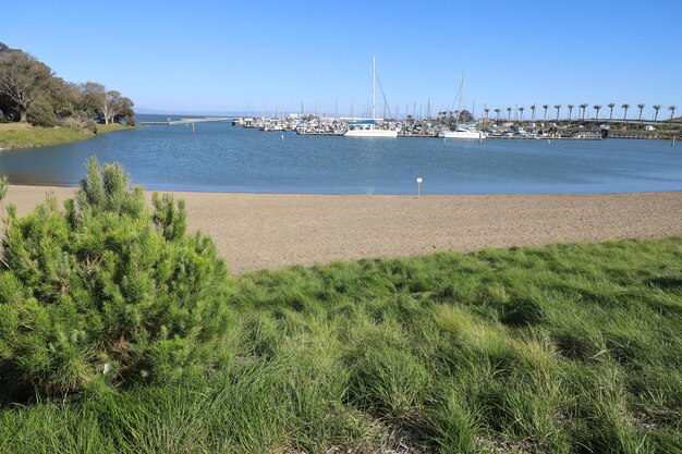 Oyster point beach and marina Brisbane California