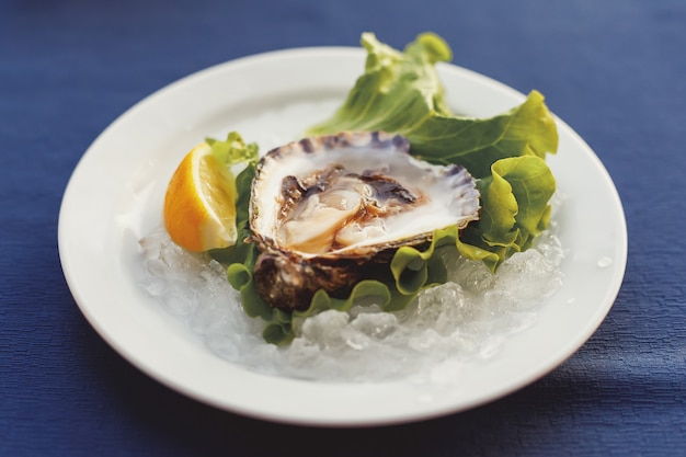 Oyster in shell on plate served with lemon and lettuce