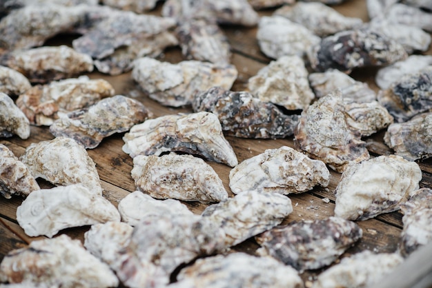 Oyster shells in a wooden cart.