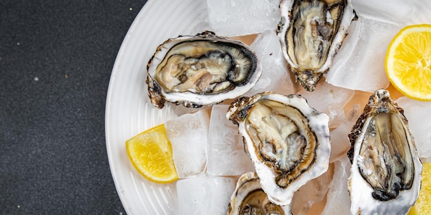 oysters fresh seafood healthy meal food snack on the table copy space food background rustic