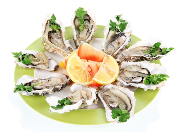 Oysters isolated on white