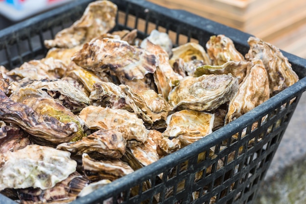 Oysters market in Cancale France