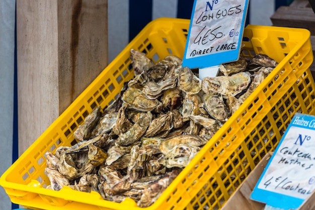 Oysters market in Cancale France