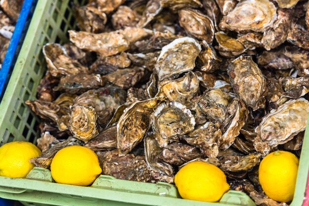 Mercato delle ostriche a cancale francia