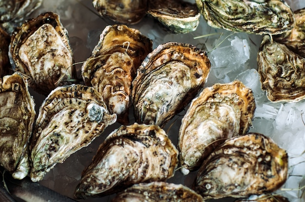 Oysters and other seafood on ice.